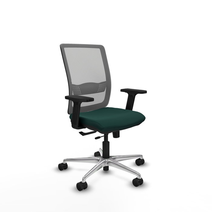 PIQUERAS Y CRESPO Silla de oficina Haches con mecanismo Sincro/Traslack, Verde botella y Gris PIQUERAS Y CRESPO Silla de oficina Haches con mecanismo Sincro/Traslack, Verde botella y Gris
