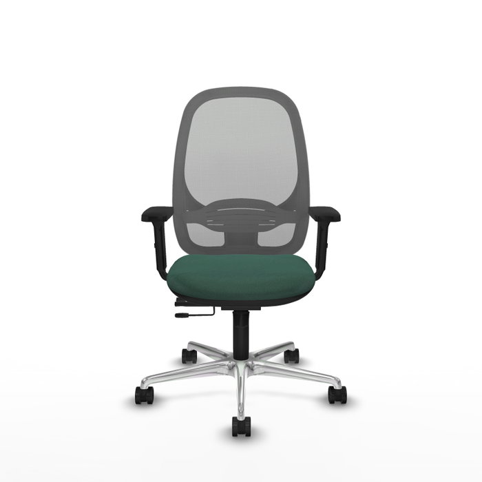 PIQUERAS Y CRESPO Silla de oficina Cilanco con mecanismo Sincro/Traslack, Verde botella y Gris PIQUERAS Y CRESPO Silla de oficina Cilanco con mecanismo Sincro/Traslack, Verde botella y Gris