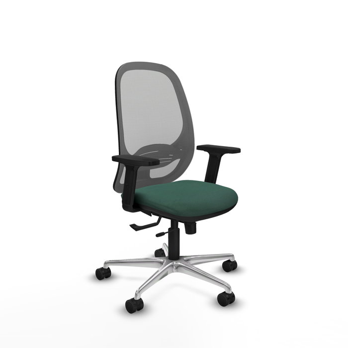 PIQUERAS Y CRESPO Silla de oficina Cilanco con mecanismo Sincro/Traslack, Verde botella y Gris PIQUERAS Y CRESPO Silla de oficina Cilanco con mecanismo Sincro/Traslack, Verde botella y Gris