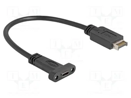 DeLOCK Cable USB Tipo-E Key A a USB Tipo-C 10 Gbps 25 cm