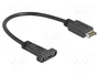 DeLOCK Cable USB Tipo-E Key A a USB Tipo-C 10 Gbps 25 cm