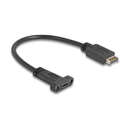 DeLOCK Cable USB Tipo-E Key A de 20 pines macho a USB Type-C hembra para montaje en panel, 25 cm
