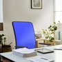 PIQUERAS Y CRESPO Silla de oficina Motilla con mecanismo Sincro, Verde esmeralda y Azul