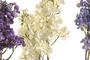 DKD Home Decor Flor Blanco Azul Lila 15 x 64 x 15 cm (12 Unidades) Tacto Real Seda PE