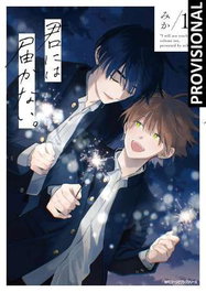 DISTRITO MANGA Barreras del corazón 10 (BL) - MIKA
