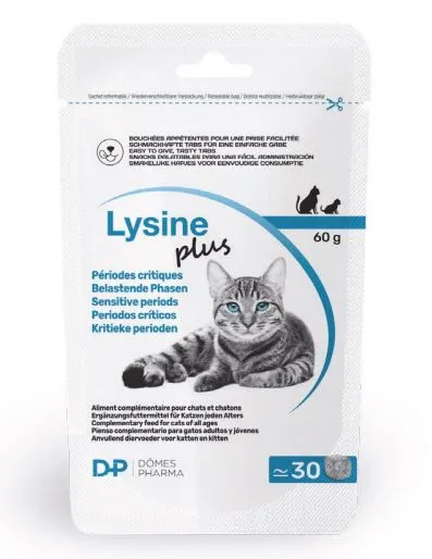 Domes Pharma Lysine Plus Snacks 30 x 2g
