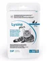 Domes Pharma Lysine Plus Snacks 30 x 2g