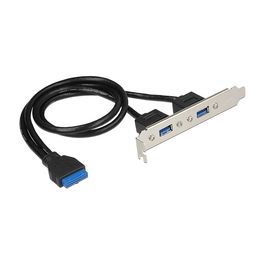 DeLOCK Bracket 84836 USB 3.2 Gen 1, Ranura Interna, 2 Puertos, Negro/Azul/Plata, Transferencia 5 Gbit/s, Bolsa Plástica