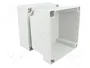 FIBOX MNX Carcasa Universal Gris ABS 130x130x125mm