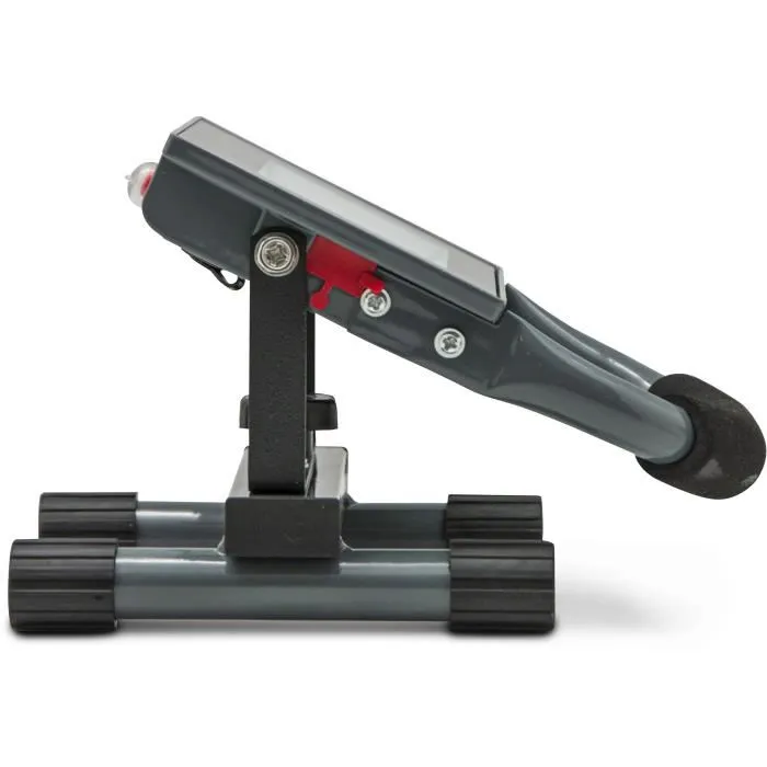 I-Watts Proyector LED I-SPR10PBK 10 W Recargable 450 Lúmenes