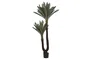 DKD Home Decor Planta Tropical Verde Marron 80 x 80 x 170 cm