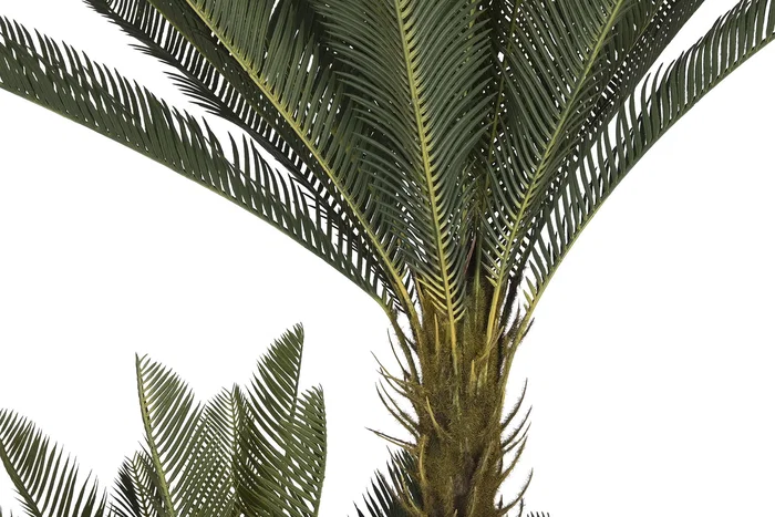DKD Home Decor Planta Tropical Verde Marron 80 x 80 x 170 cm