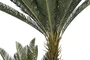 DKD Home Decor Planta Tropical Verde Marron 80 x 80 x 170 cm