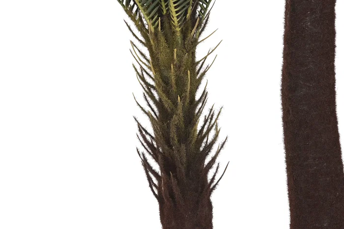 DKD Home Decor Planta Tropical Verde Marron 80 x 80 x 170 cm
