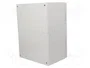 FIBOX ARCA Carcasa de pared de policarbonato gris