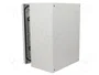 FIBOX ARCA Carcasa de pared de policarbonato gris