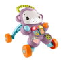 Fisher-Price Jgw92 Ríe y Aprende Andador Mono Parlanchín - Andador Musical con Actividades, Canciones, Luces y Sonidos para Bebés +12 Meses