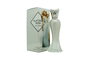 Paris Hilton Platinum Rush Eau de Parfum 100 ml Spray