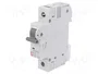 ETI POLAM Interruptor magnetotérmico ETIMAT 6 1P B 4A 6kA