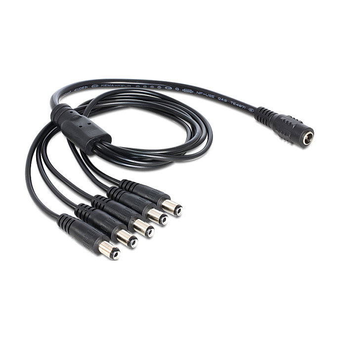 DeLOCK 83288 Cable distribuidor DC 1 hembra a 5 machos 5,5 x 2,1 mm