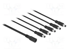 DeLOCK 83288 Cable distribuidor DC 1 hembra a 5 machos 5,5 x 2,1 mm