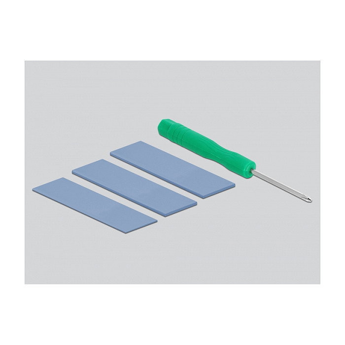 DeLOCK 42616 Caja Externa para SSD M.2 NVMe PCIe, USB 3.2 Gen 2 Tipo-C y Tipo-A, 10 Gbit/s, Metal Plata