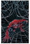 Panini España S.A. El Asombroso Spider-Man 9