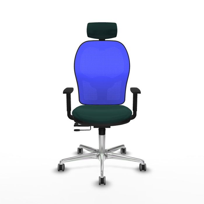 PIQUERAS Y CRESPO Silla de oficina Jorquera con mecanismo Sincro/Traslack, Verde botella y Azul PIQUERAS Y CRESPO Silla de oficina Jorquera con mecanismo Sincro/Traslack, Verde botella y Azul