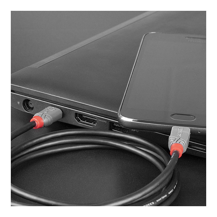 Lindy Cable USB 2.0 Type C a Micro-B Anthra Line 0,5 m