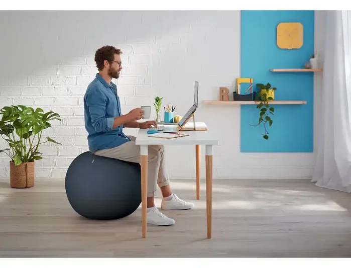 Leitz Active Ergo Cosy Balón de Asiento 65 cm Gris con Bomba