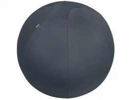 Leitz Active Ergo Cosy Balón de Asiento 65 cm Gris con Bomba