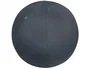 Leitz Active Ergo Cosy Balón de Asiento 65 cm Gris con Bomba