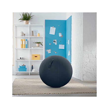 Leitz Ergo Cosy Balón de Asiento 65 cm Gris Leitz Ergo Cosy Balón de Asiento 65 cm Gris