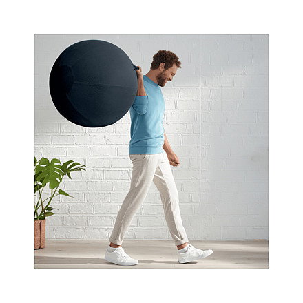 Leitz Ergo Cosy Balón de Asiento 65 cm Gris Leitz Ergo Cosy Balón de Asiento 65 cm Gris