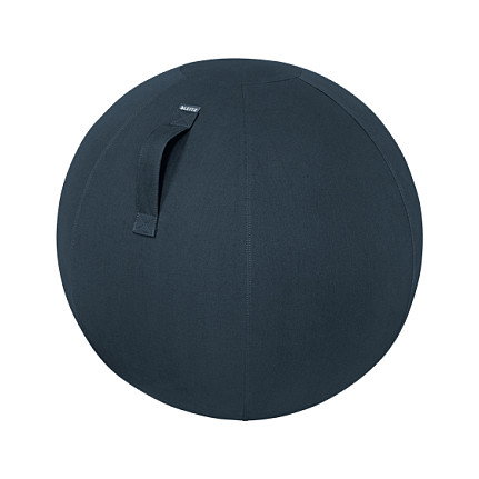 Leitz Ergo Cosy Balón de Asiento 65 cm Gris Leitz Ergo Cosy Balón de Asiento 65 cm Gris
