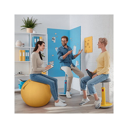 Leitz Ergo Cosy Balón de Asiento 65 cm Gris Leitz Ergo Cosy Balón de Asiento 65 cm Gris