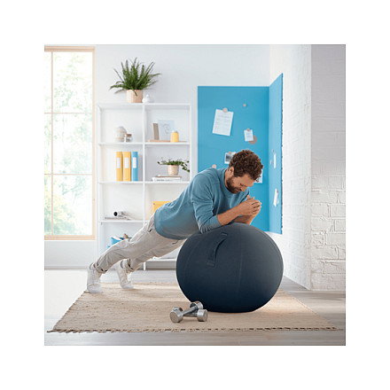 Leitz Ergo Cosy Balón de Asiento 65 cm Gris Leitz Ergo Cosy Balón de Asiento 65 cm Gris