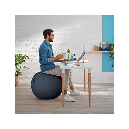 Leitz Ergo Cosy Balón de Asiento 65 cm Gris Leitz Ergo Cosy Balón de Asiento 65 cm Gris