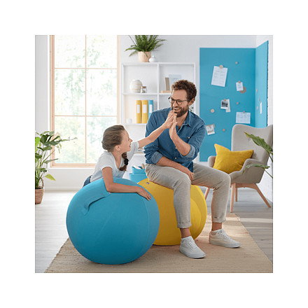 Leitz Ergo Cosy Balón de Asiento 65 cm Gris Leitz Ergo Cosy Balón de Asiento 65 cm Gris
