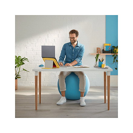 Leitz Ergo Cosy Balón de Asiento 65 cm Gris Leitz Ergo Cosy Balón de Asiento 65 cm Gris