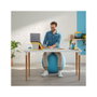 Leitz Ergo Cosy Balón de Asiento 65 cm Gris
