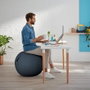 Leitz Balón de Asiento Ergo Cosy 65 cm Gris