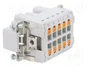 LAPP Conector HDC EPIC H-BE Macho de 10 Pines