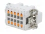 LAPP Conector HDC EPIC H-BE Macho de 10 Pines