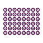 Edm Lámina Adhesiva A4 Numerada 1-48 Morado para Identificación Interior
