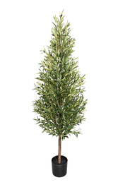 DKD Home Decor Árbol de Olivo Verde 80x80x180 cm