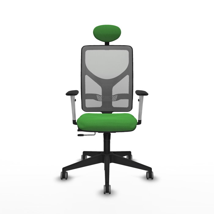 PIQUERAS Y CRESPO Silla de oficina Motilla con mecanismo Sincro/Traslack Verde y Gris PIQUERAS Y CRESPO Silla de oficina Motilla con mecanismo Sincro/Traslack Verde y Gris
