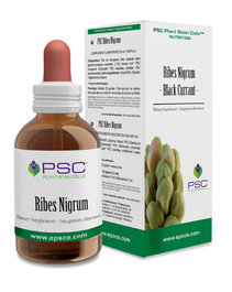 FORZA VITALE PSC Ribes Nigrum 15ml