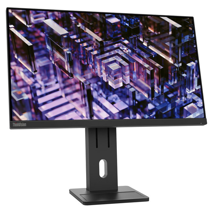 Lenovo ThinkVision E24q-30 Monitor 23.8 pulg QHD IPS 100Hz Negro