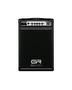 GR Bass CUBE 110 Combo de Bajo 300W